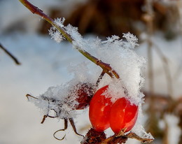 Snowflakes / ***