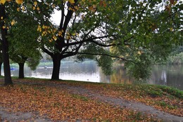 Herbst im Park / ***