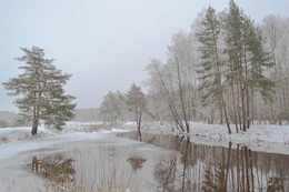 Winterwald / ***