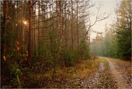 für die Herbststraße / ***