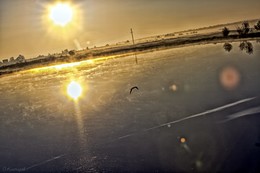 Orange Morgen. / ***