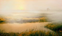 Herbstnebel ... / ***