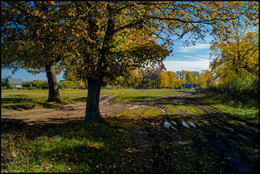 Herbst-Skizzen / ***