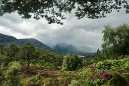 Glen Afric II / Eine weitere Aufnahme aus dem Glen Afric aus 2017.