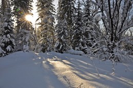Winter / ***