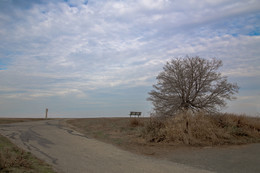 Lonely Bench / ***