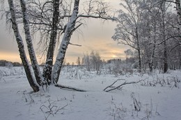 Sonnenuntergang im Winter / ***