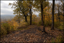 Herbst-Skizzen / ***