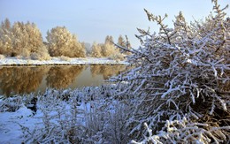 Winter-Ufer / ***