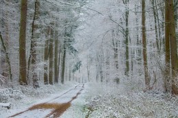 Die Straße im Winter ... / ***