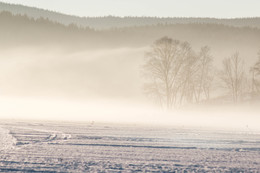 Nebel / ***