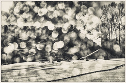 &nbsp; / ..................