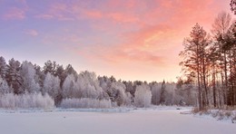 Winterabend im Wald / ***