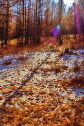 Spätherbst / ***