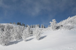 Nach Schneefall / ***