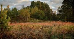 Wind des Wandels / ***