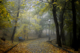 Im Herbst des Parks ... / ***