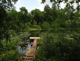 Am See in den Wäldern / ***