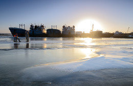 Überwinterung / ***