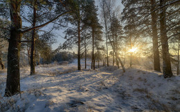 Frost und Sonne / ***