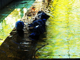  / 2014-09-0297-C00-066(81)+C