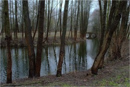 Nach dem Regen / ***