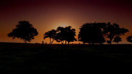 Sonnenuntergang in der Steppe. / ***