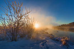 Sonniger Morgen / ***