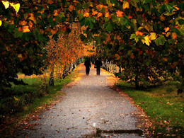 In der Herbst-Park. / ***