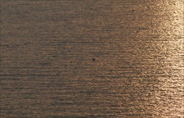 Reflexionen auf dem Wasser / ***