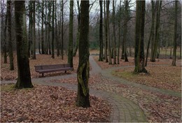 im Park / ***