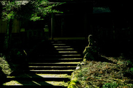  / JPN