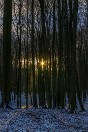 Sonnenuntergang im Nationalpark Jasmund / Aufgenommen im Dezember 2017 im Nationalpark Jasmund auf Rügen