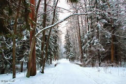 Wintermärchen / ***