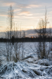 Sonnenuntergang im Winter / ***