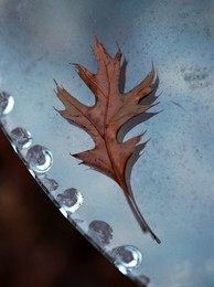 &nbsp; / [img]https://i.imgur.com/aw8INp7.jpg[/img]