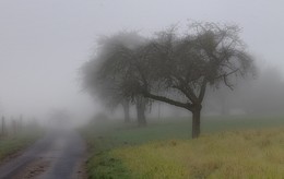 Kontrastieren / ***