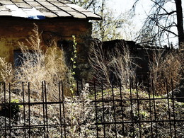 Hinterhof / 2015-05-07-130-C00-042(82)+C