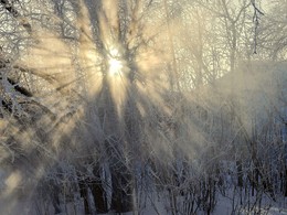 Frost und Sonne - einen wundervollen Tag! / ***