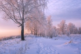 Winterabend. / ***