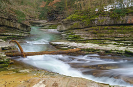 in der Taugl / in der Taugl