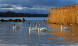 Morgen auf dem Fluss / ***