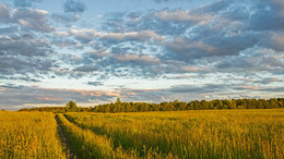 Bei Sonnenuntergang / ***