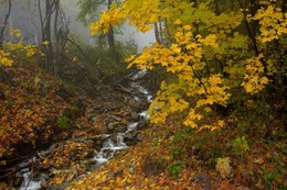 Herbst / ***