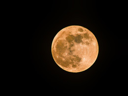 Full Moon. / ***