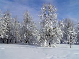 Wintermärchen / ***