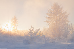 Wintermärchen. / ***