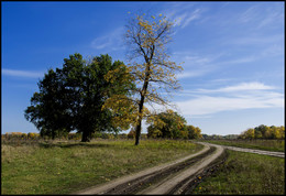 Herbst-Skizzen / ***