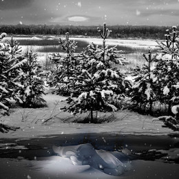 schneit / ***