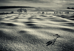 Sea Sorgen wieder ... / ***